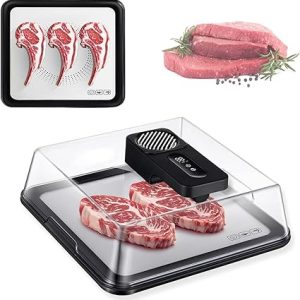 Meat Defrosting Tray with Battery